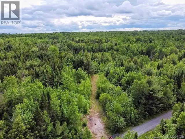 Lot Rear Hwy 101 New Maryland, Rusagonis, New Brunswick E3B0C0