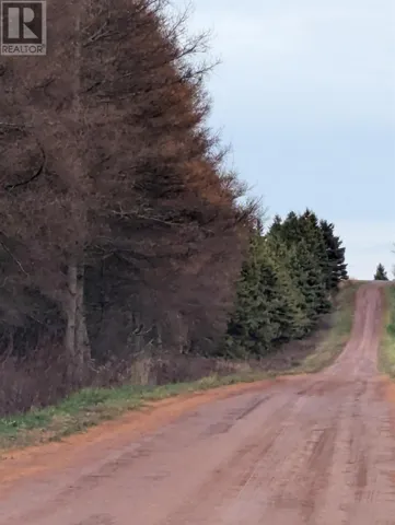 Acreage Jack Eloi Road, St. Chrysostome, Prince Edward Island C0B1Y0