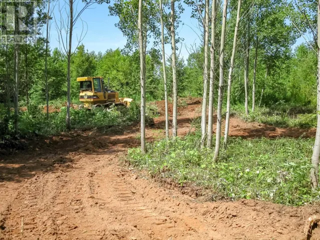 Bruce Point Road, Launching, Prince Edward Island C0A1G0
