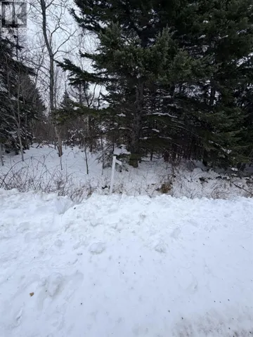 Spanish River Court, Sydney Forks, Nova Scotia B1L1C1