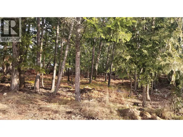938 23 Highway, Nakusp, British Columbia V0G1R0