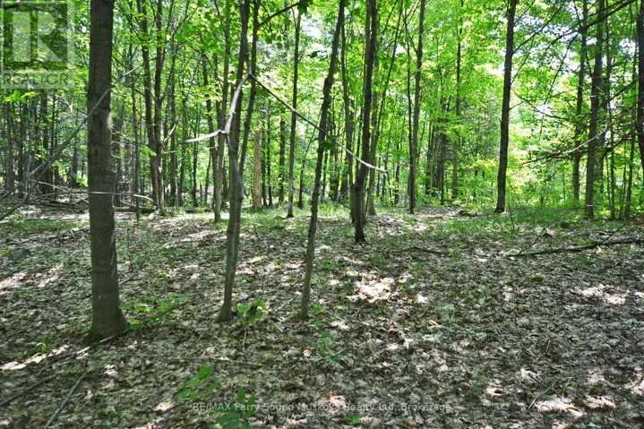19 TURTLE LANE, McKellar, Ontario P0G1C0