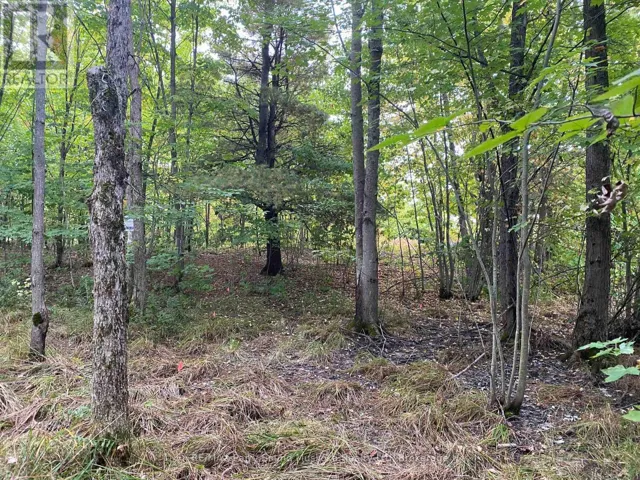 19 TURTLE LANE, McKellar, Ontario P0G1C0