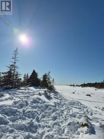 780