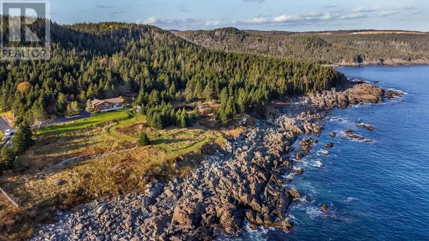 40 Cribbies Road, Tors Cove, Newfoundland & Labrador A0A4A0