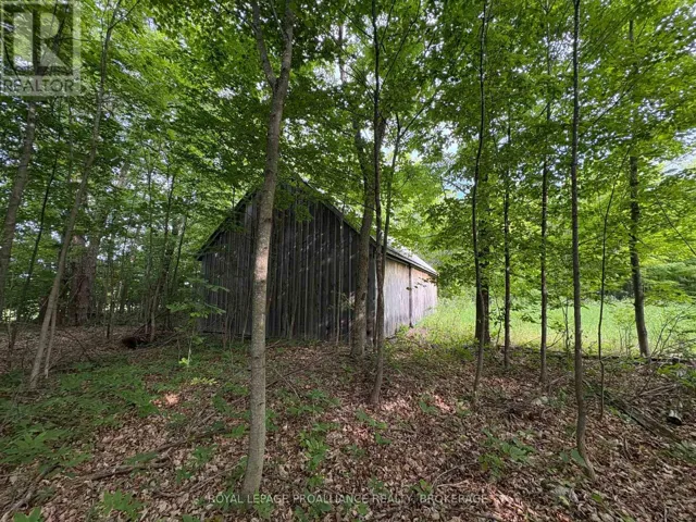 LOT 3 JAMIESON ROAD, Frontenac (Frontenac South), Ontario K0H1V0