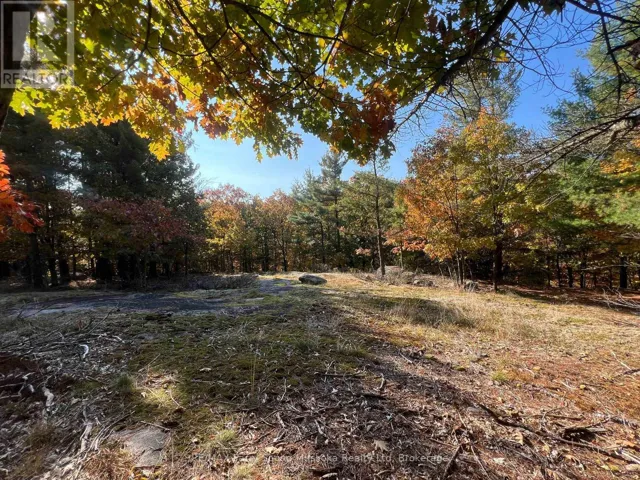 13 RIDGEWAY DRIVE, Carling, Ontario P0G1G0