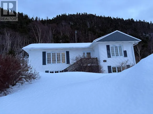 436 Main Street, Triton, Newfoundland & Labrador A0J1V0
