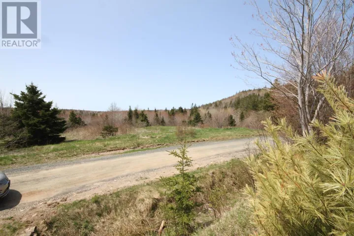 Lot 1 River Denys Mountain Road, Rear Judique, Nova Scotia B0E1P0