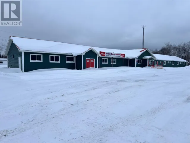 3 Burnt Berry Pond Road, Springdale Junction, Newfoundland & Labrador A0J1T0