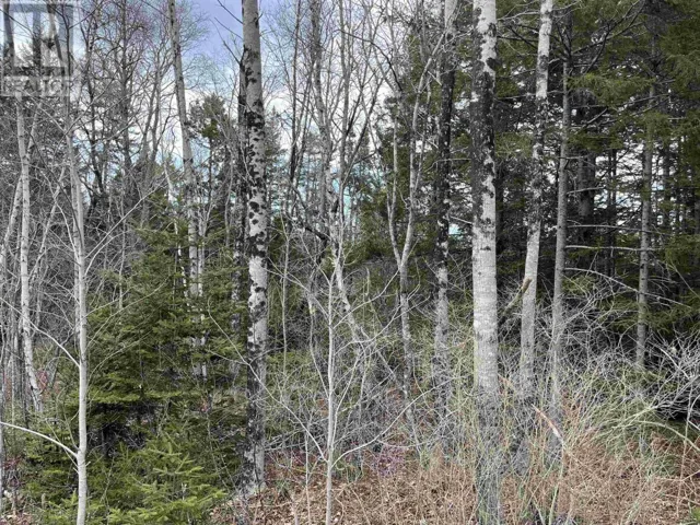 N-200 Sarty Road, Hebbs Cross, Nova Scotia B4V0X6