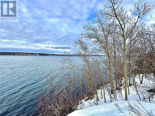 117 MARINE Drive, CLARENVILLE, Newfoundland & Labrador A5A1M6