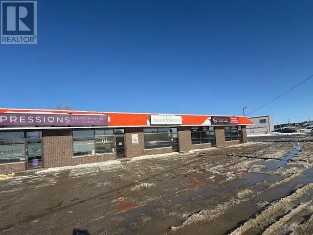 1313 Lorne Street Unit# 4, Sudbury, Ontario P3C5M9