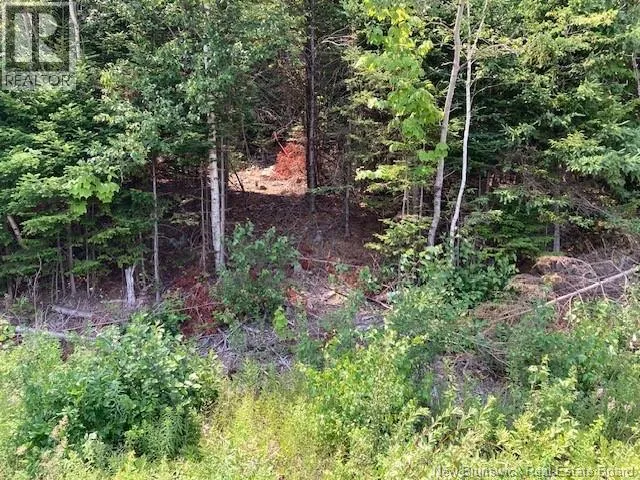 0 Frye Road, Chamcook, New Brunswick E5B3R6