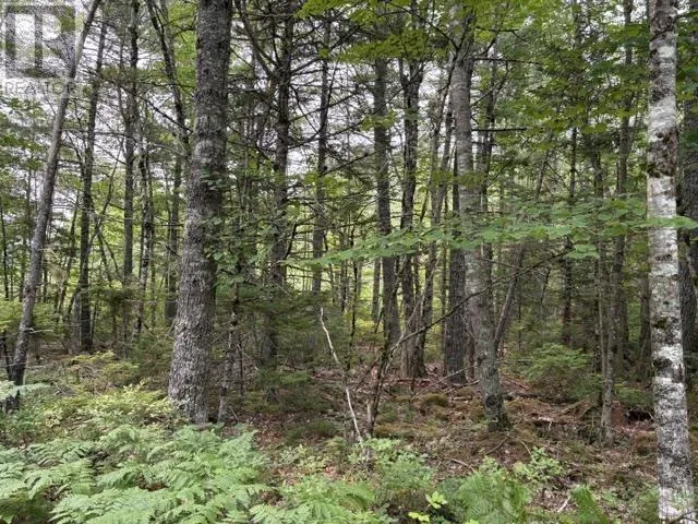 Lot 1-A Country Road, Lakeland Retreats, Labelle, Nova Scotia B0T1E0