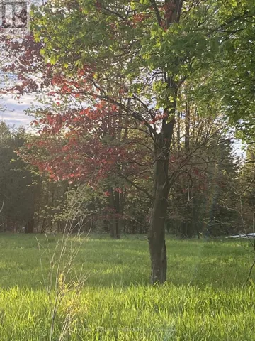 LOT SAPPHIRE DRIVE, South Glengarry, Ontario K6H7J1