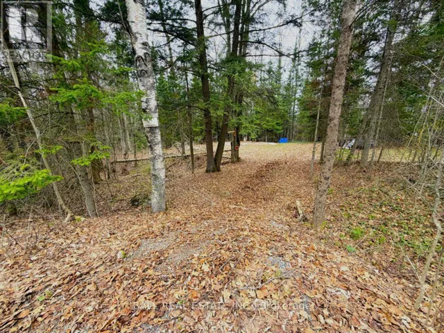 0 QUARRY ROAD, Bancroft (Dungannon Ward), Ontario K0L1C0