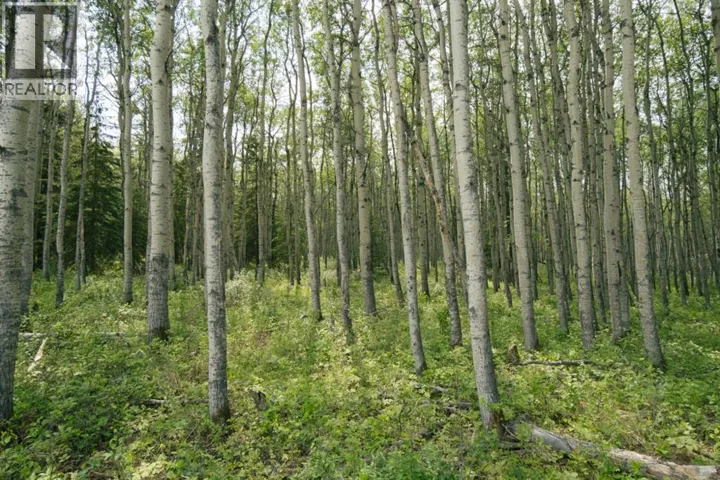 lot 3, Range Road 84 Township Road 722, Wembley, Alberta T0H2J0