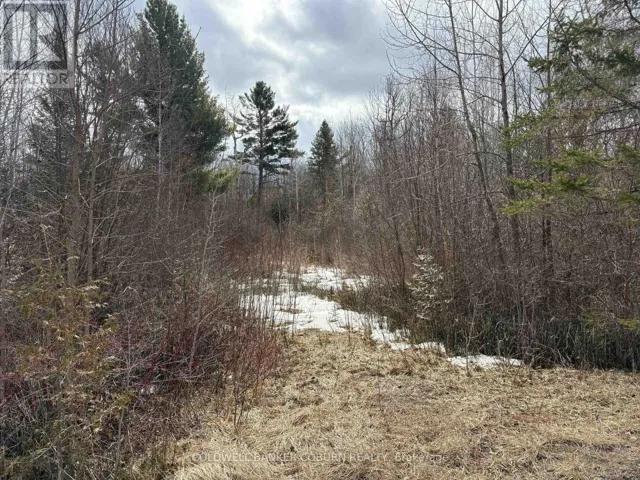 2035 VENTNOR ROAD, Edwardsburgh/Cardinal, Ontario K0E1X0