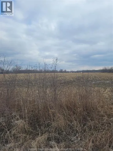 V/L MCLEOD, Amherstburg, Ontario A0A0A0