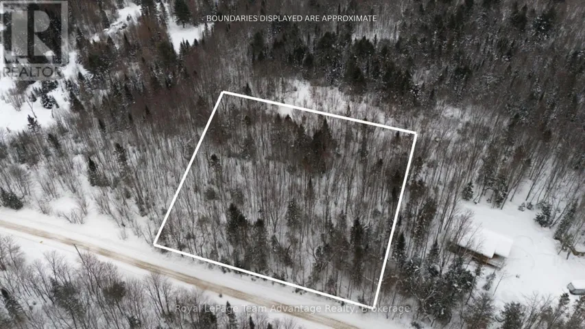 0 LAKEVIEW DRIVE E, Ryerson, Ontario P0A1C0