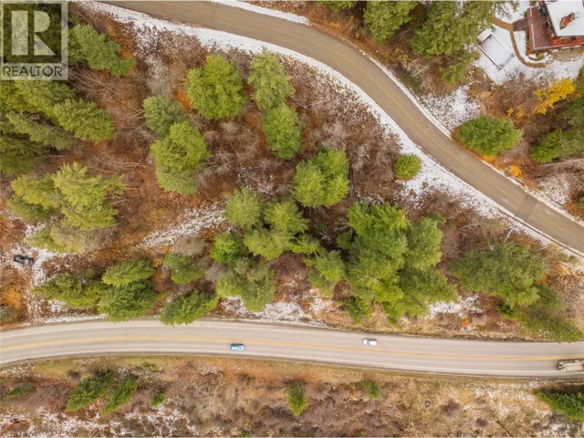 3605 SOUTH SLOCAN VILLAGE Road, Bonnington, British Columbia V0G2G3