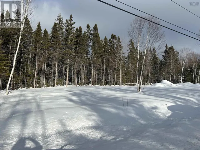 0 Meadows Road, Sydney Forks, Nova Scotia B1L1A1