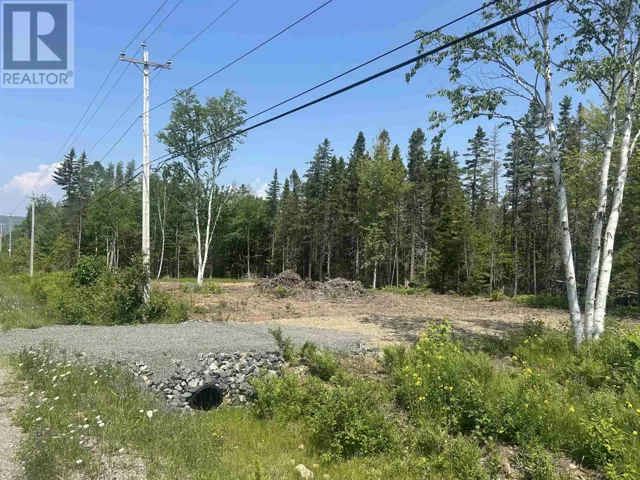 0 Meadows Road, Sydney Forks, Nova Scotia B1L1A1