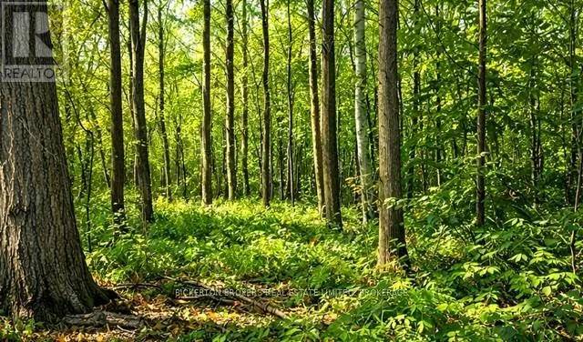 49 CEDAR SANDS ROAD, Rideau Lakes, Ontario K0E1N0