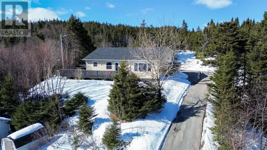 436 Main Road, Great Salmonier, Newfoundland & Labrador A0E1N0