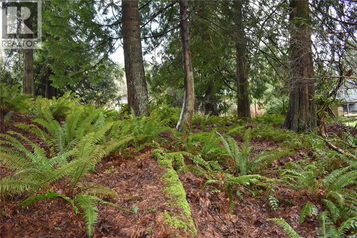 201 Grantville St, Salt Spring, British Columbia V8K1P1
