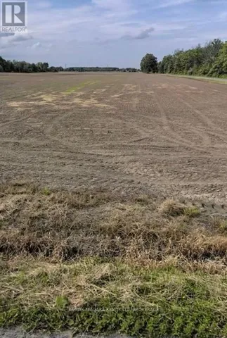 PT 24 CROWN ROAD, West Lincoln (Bismark/Wellandport), Ontario L0R2A0