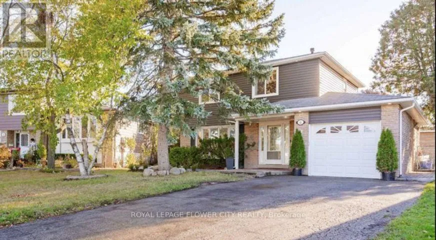 BASEMENT - 12 GONDOLA CRESCENT, Brampton (Northgate), Ontario L6S1W6