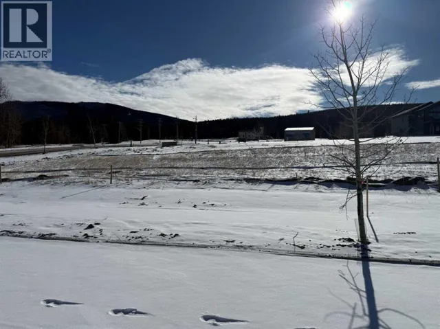 405 LILY Avenue, Nordegg, Alberta T0M2H0
