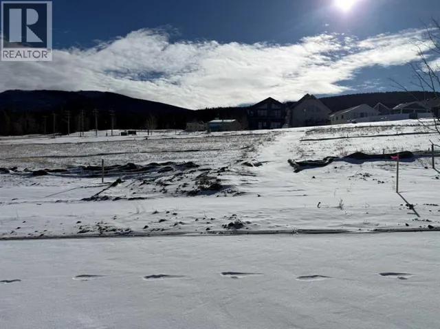 417 LILY Avenue, Nordegg, Alberta T0M2H0