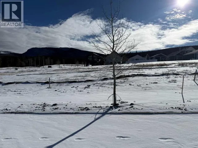 425 LILY Avenue, Nordegg, Alberta T0M2H0