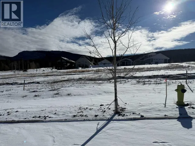 429 LILY Avenue, Nordegg, Alberta T0M2H0