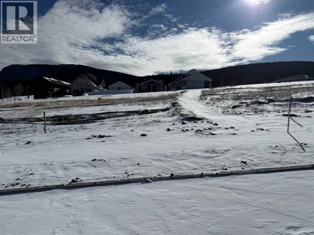 433 LILY Avenue, Nordegg, Alberta T0M2H0