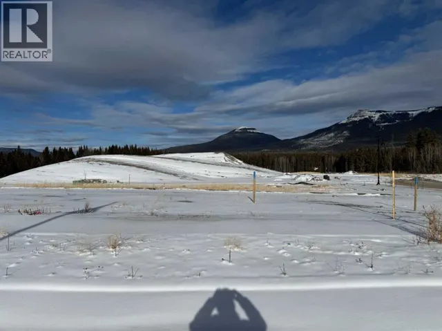 404 LILY Avenue, Nordegg, Alberta T0M2H0