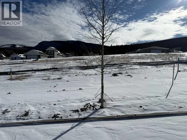 449 LILY Avenue, Nordegg, Alberta T0M2H0