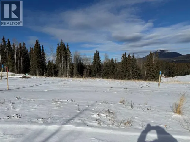 436 LILY Avenue, Nordegg, Alberta T0M2H0