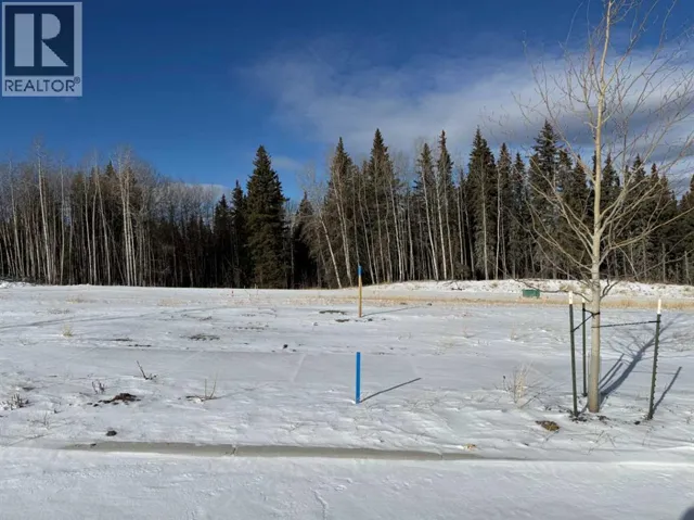 464 LILY Avenue, Nordegg, Alberta T0M2H0