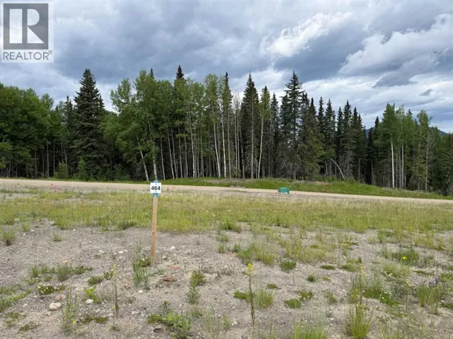 464 LILY Avenue, Nordegg, Alberta T0M2H0