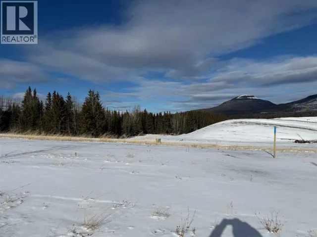 420 LILY Avenue, Nordegg, Alberta T0M2H0