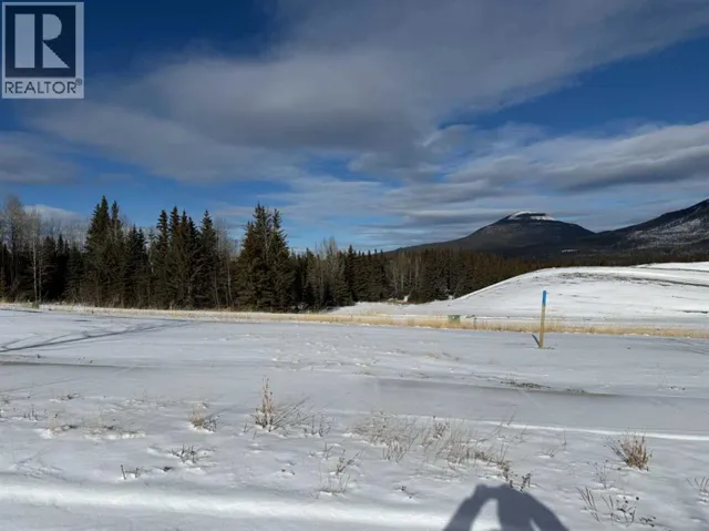 424 LILY Avenue, Nordegg, Alberta T0M2H0
