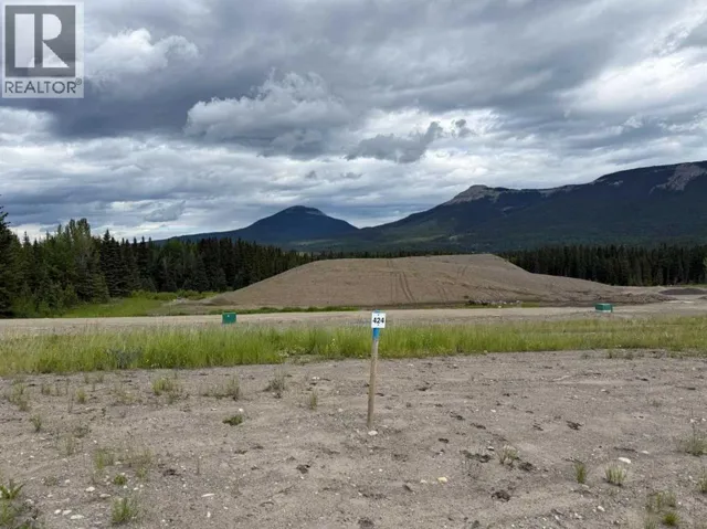 424 LILY Avenue, Nordegg, Alberta T0M2H0