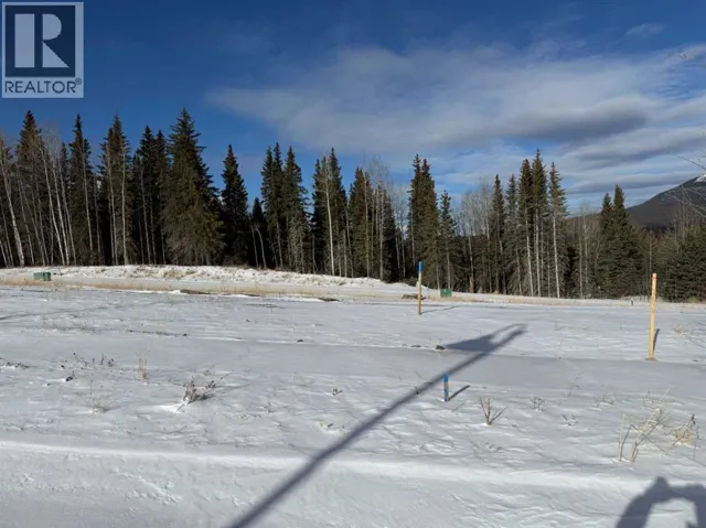 448 LILY Avenue, Nordegg, Alberta T0M2H0