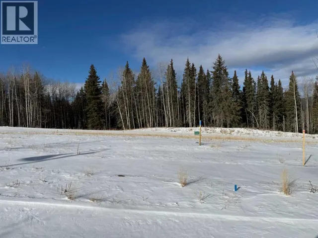 460 LILY Avenue, Nordegg, Alberta T0M2H0
