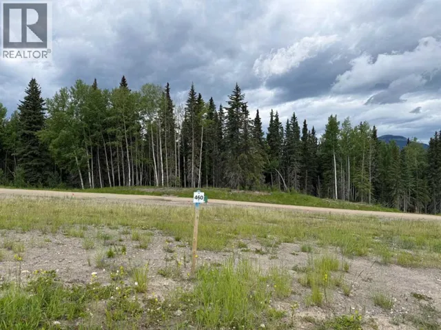 460 LILY Avenue, Nordegg, Alberta T0M2H0