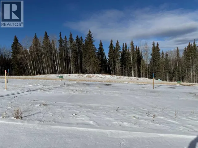 452 LILY Avenue, Nordegg, Alberta T0M2H0